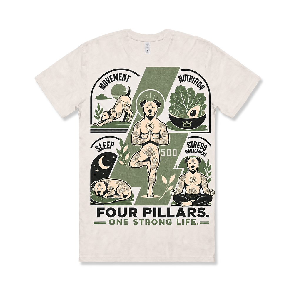 M4 500 TEE